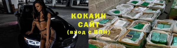 стафф Богородск
