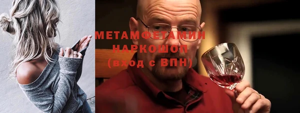 индика Богданович