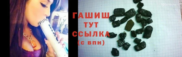 индика Богданович