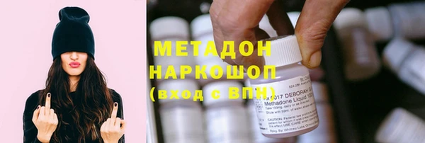 индика Богданович