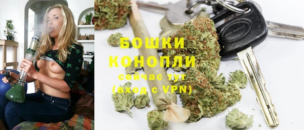стафф Богородск