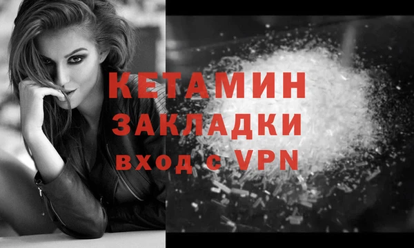 индика Богданович