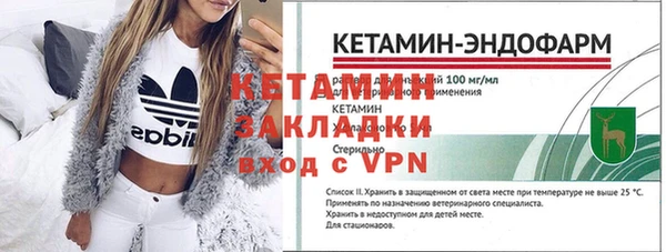 индика Богданович