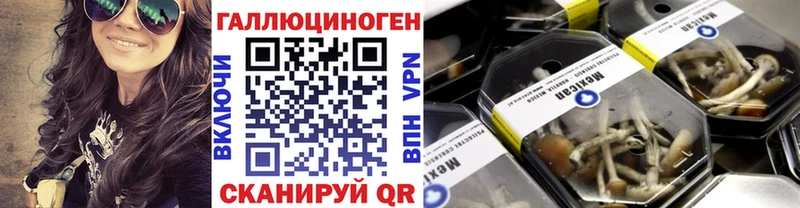 Псилоцибиновые грибы прущие грибы где найти Крым