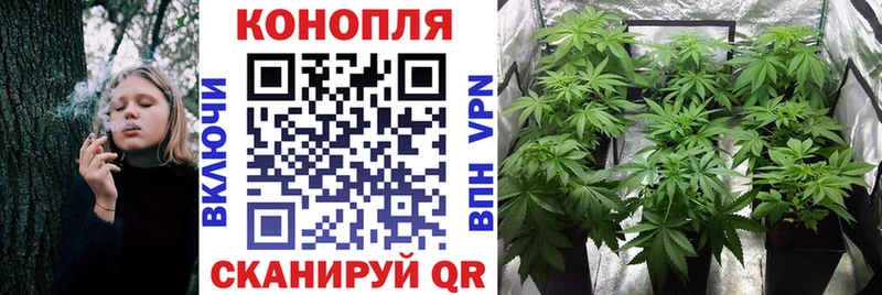 МАРИХУАНА THC 21% Крым